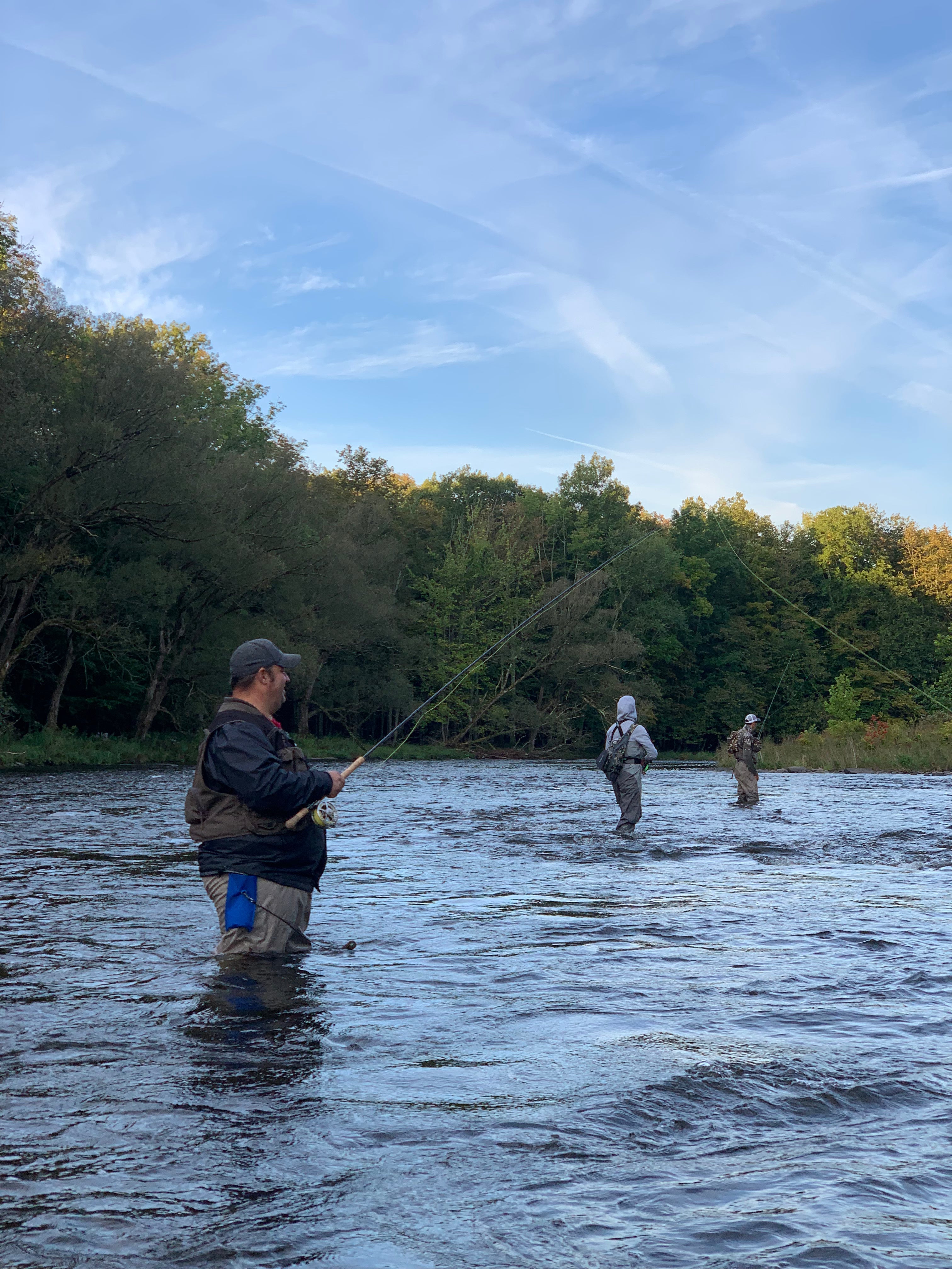 NY Salmon/Steelhead Report as of 9/24/2025