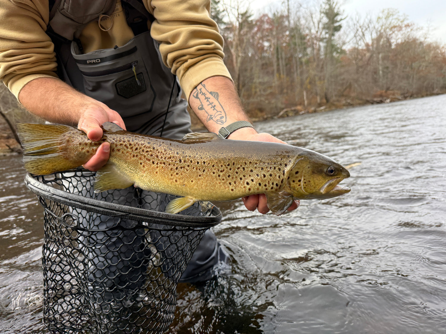 CT Freshwater Report as of 11/8/2025