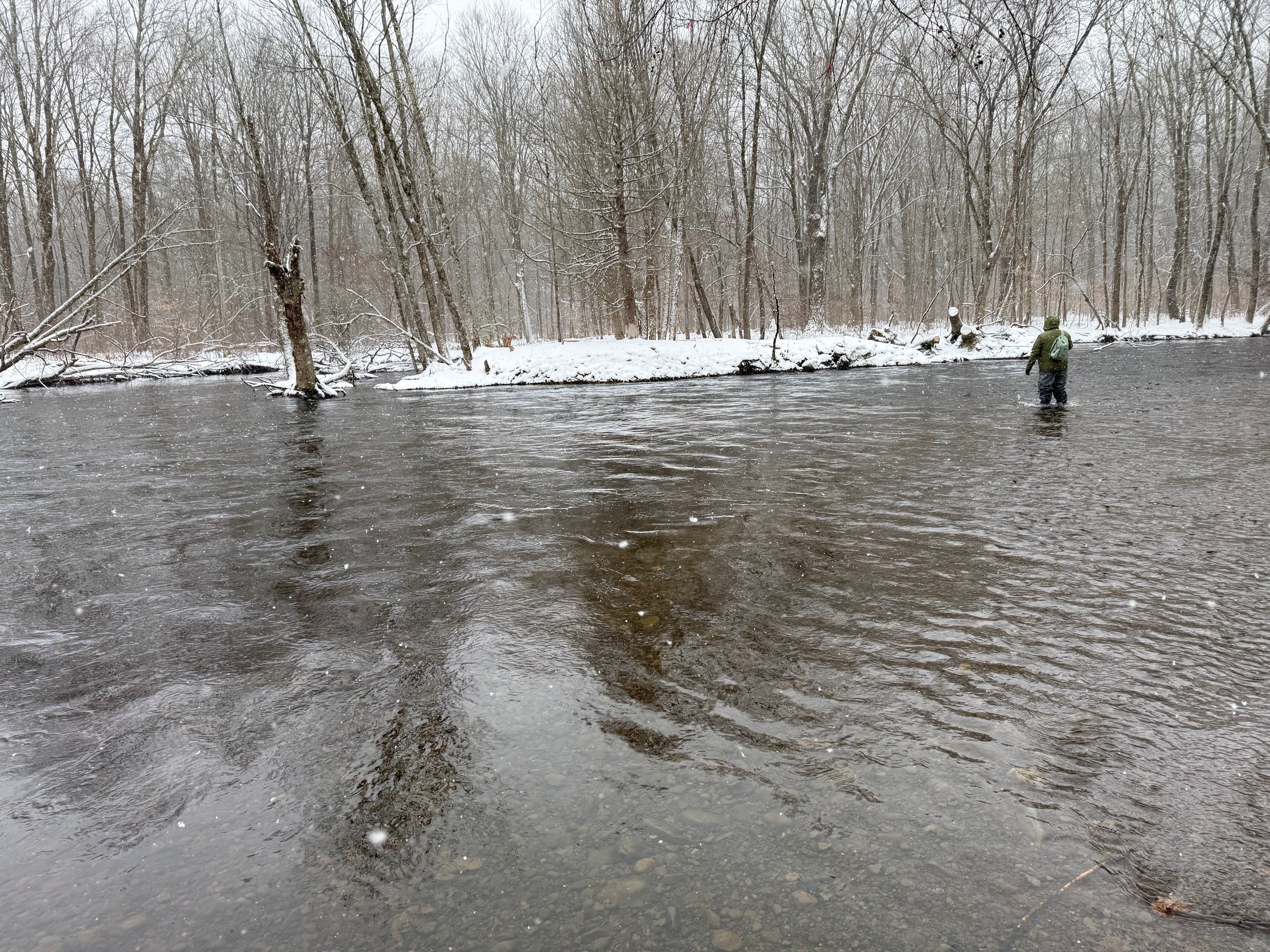 NY Salmon/Steelhead Report as of 12/6/2025