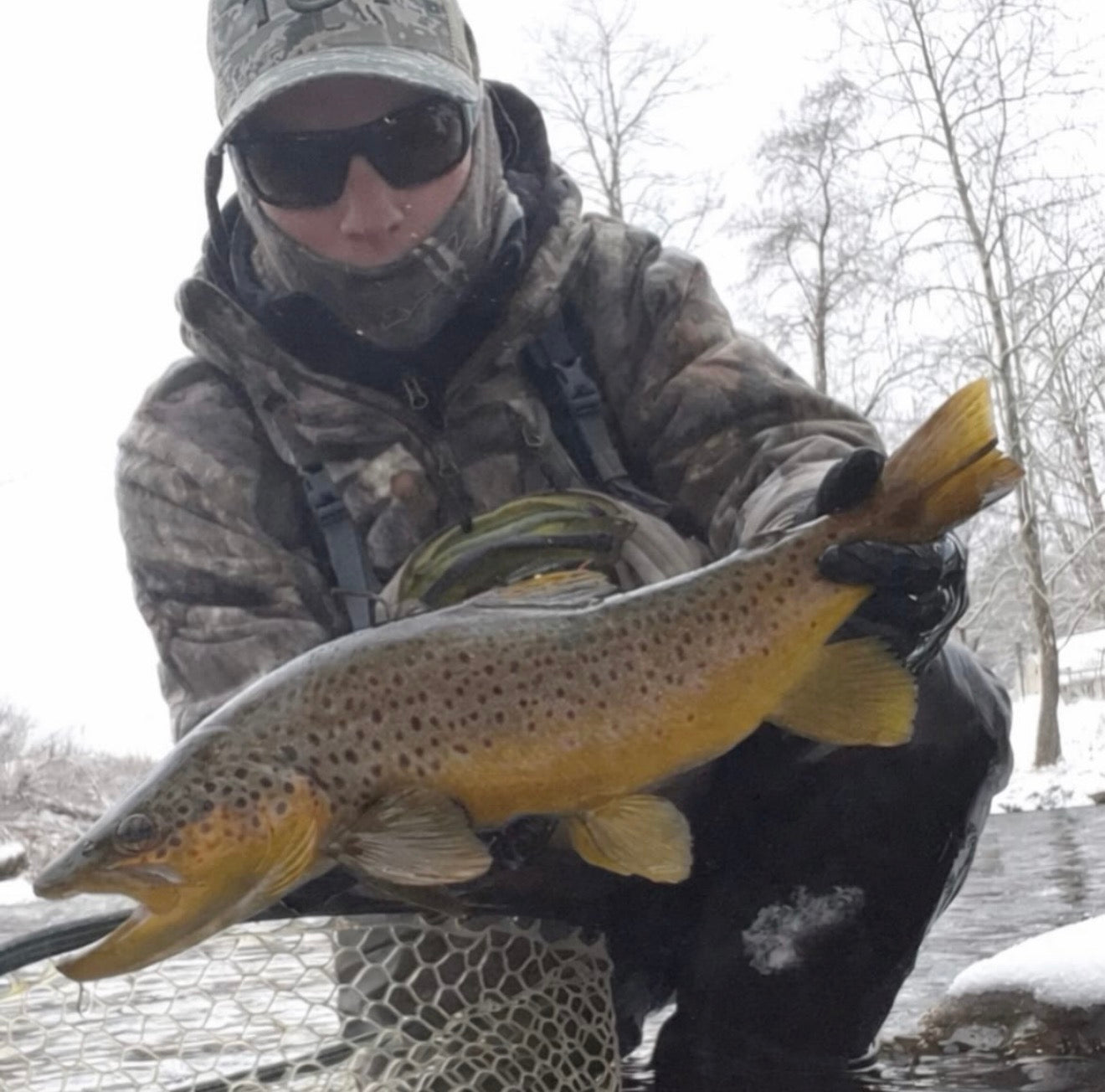 CT Freshwater Report as of 1/17/2026