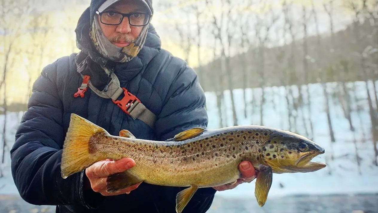 CT Freshwater Report as of 2/26/2026