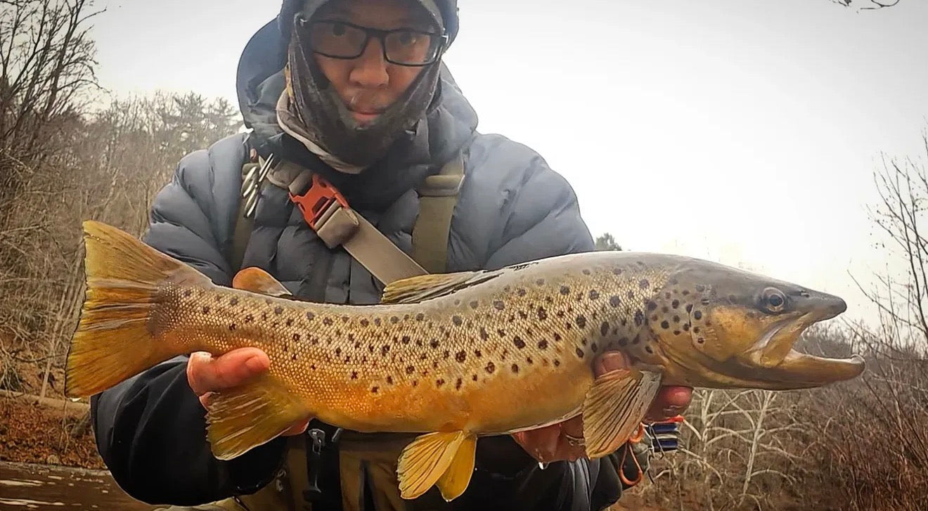 CT Freshwater Report as of 3/14/2026