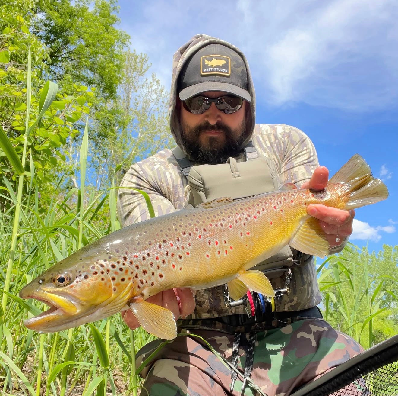 CT Freshwater Report as of 5/29/2026