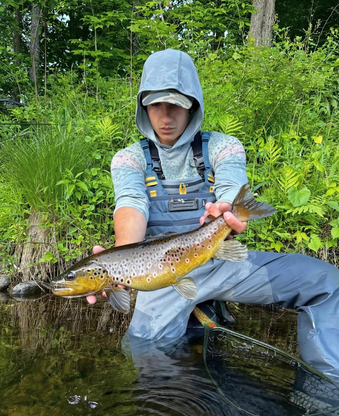 CT Freshwater Report as of 6/8/2026