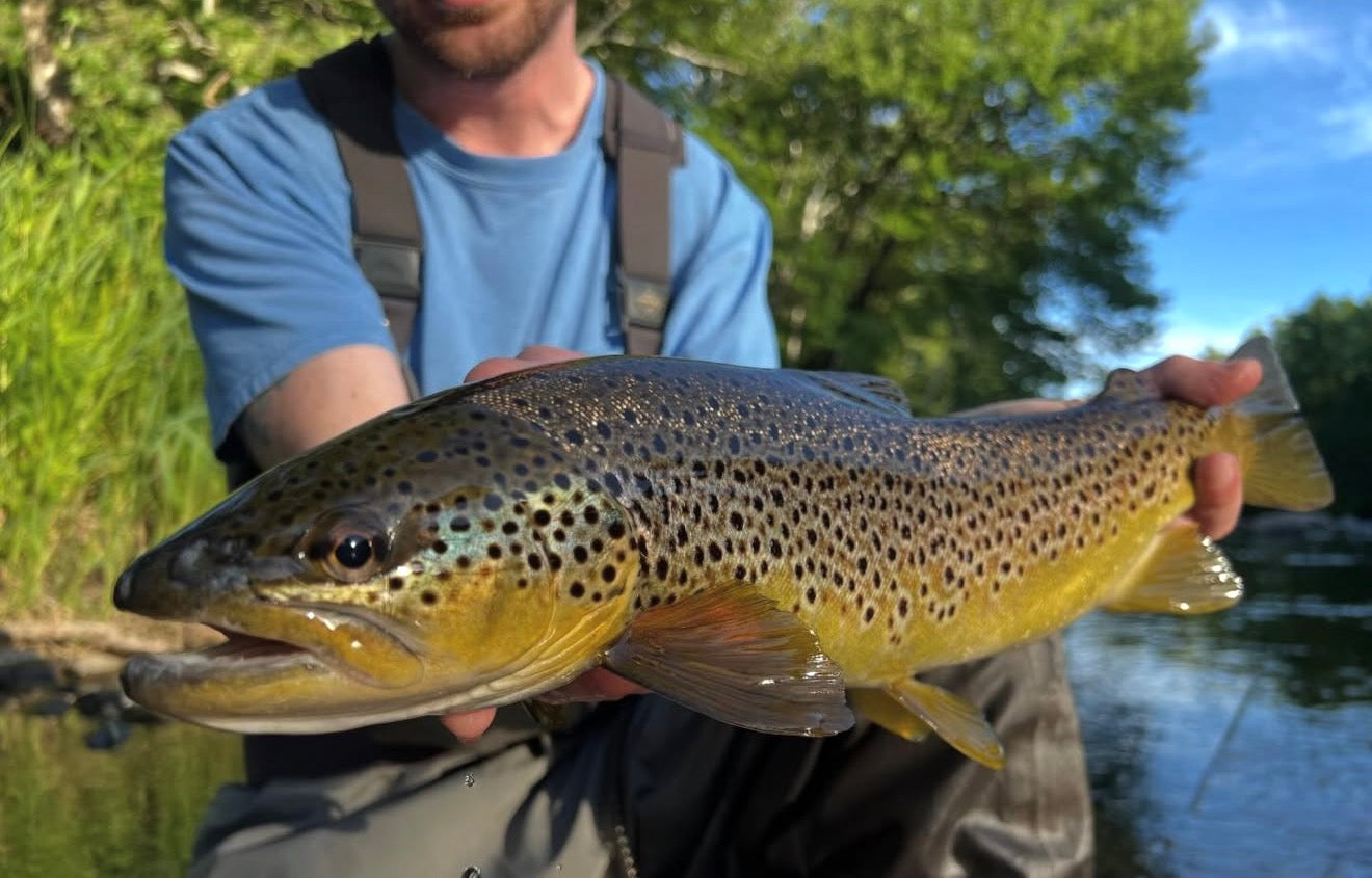 CT Freshwater Report as of 6/19/2026