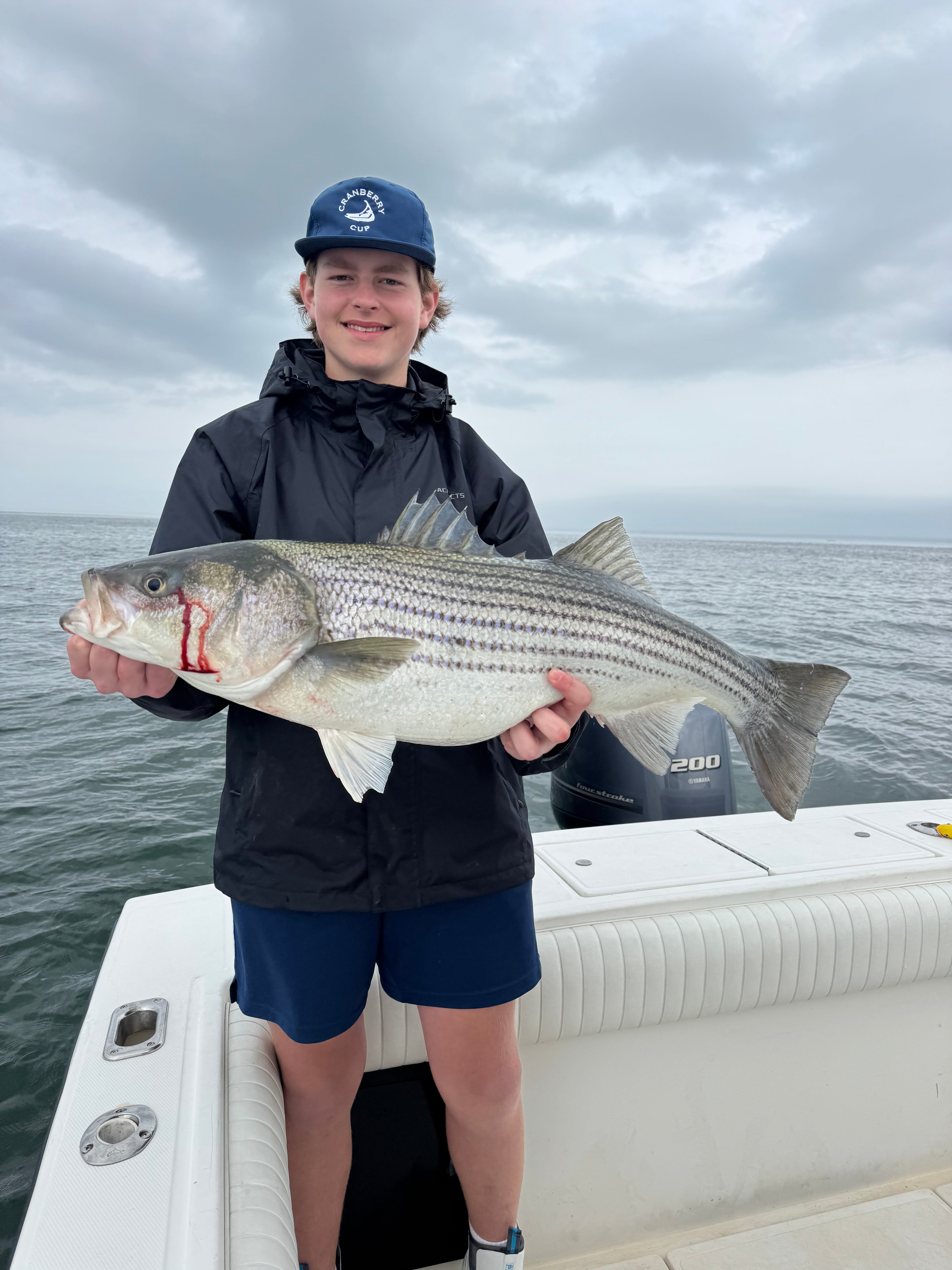Herring, Mackerel, and Worms, Oh My!