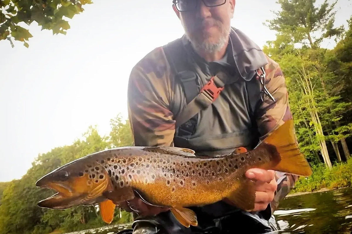 CT Freshwater Report as of 9/7/2026- Happy Labor Day!