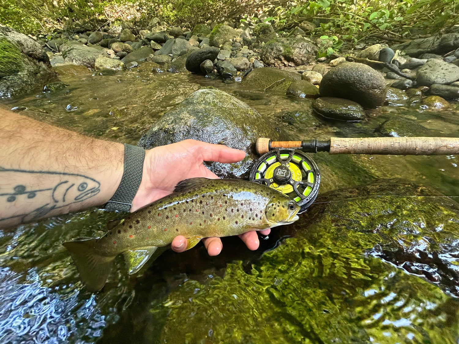CT Small Stream Fishing