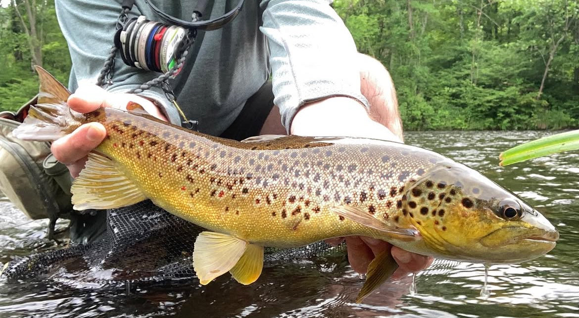 CT Freshwater Report as of 6/20/2025