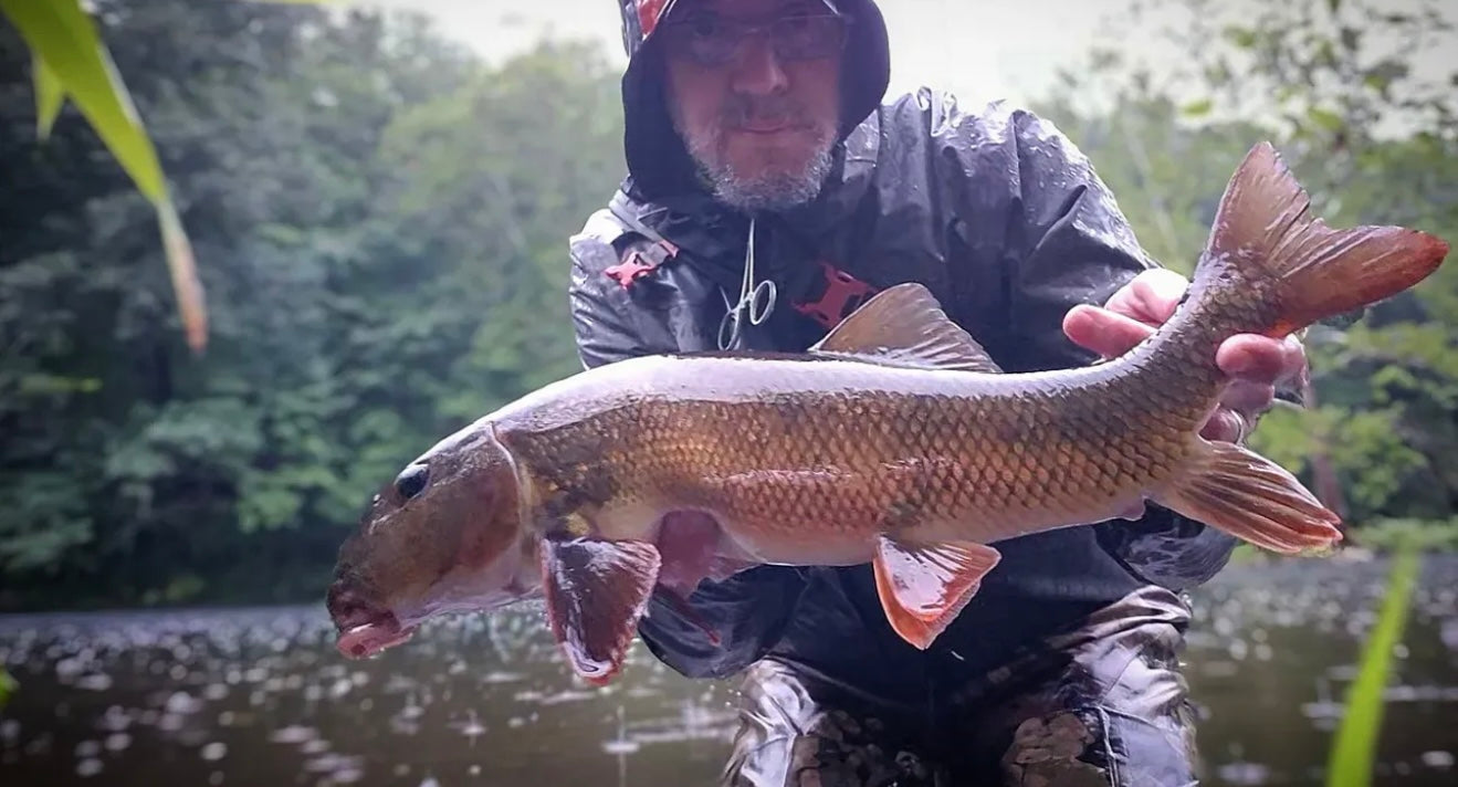 CT Freshwater Report as of 8/22/2025