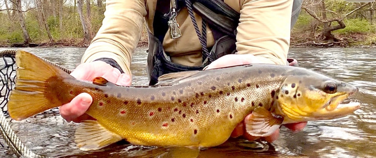 CT Freshwater Report as of 6/12/2026