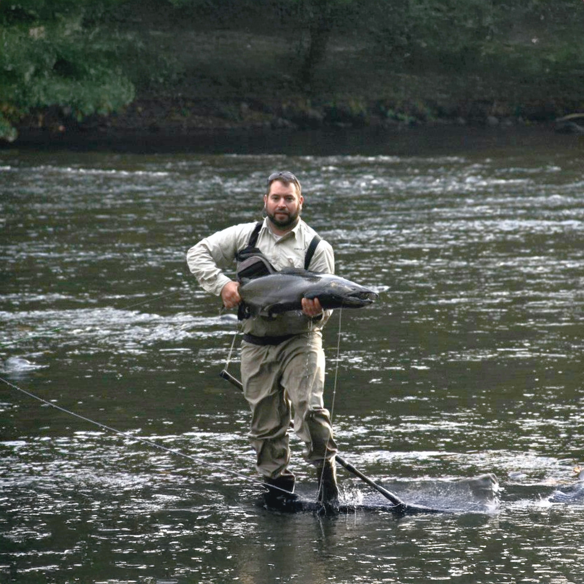 Salmon and Steelhead