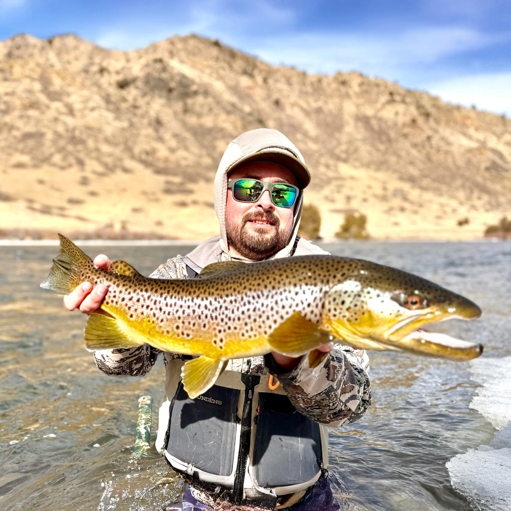 Euro/ Tight Line Rods