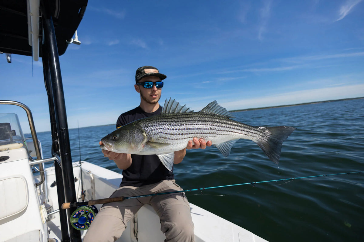 Cortland Cold Salt Striped Bass Sink 8