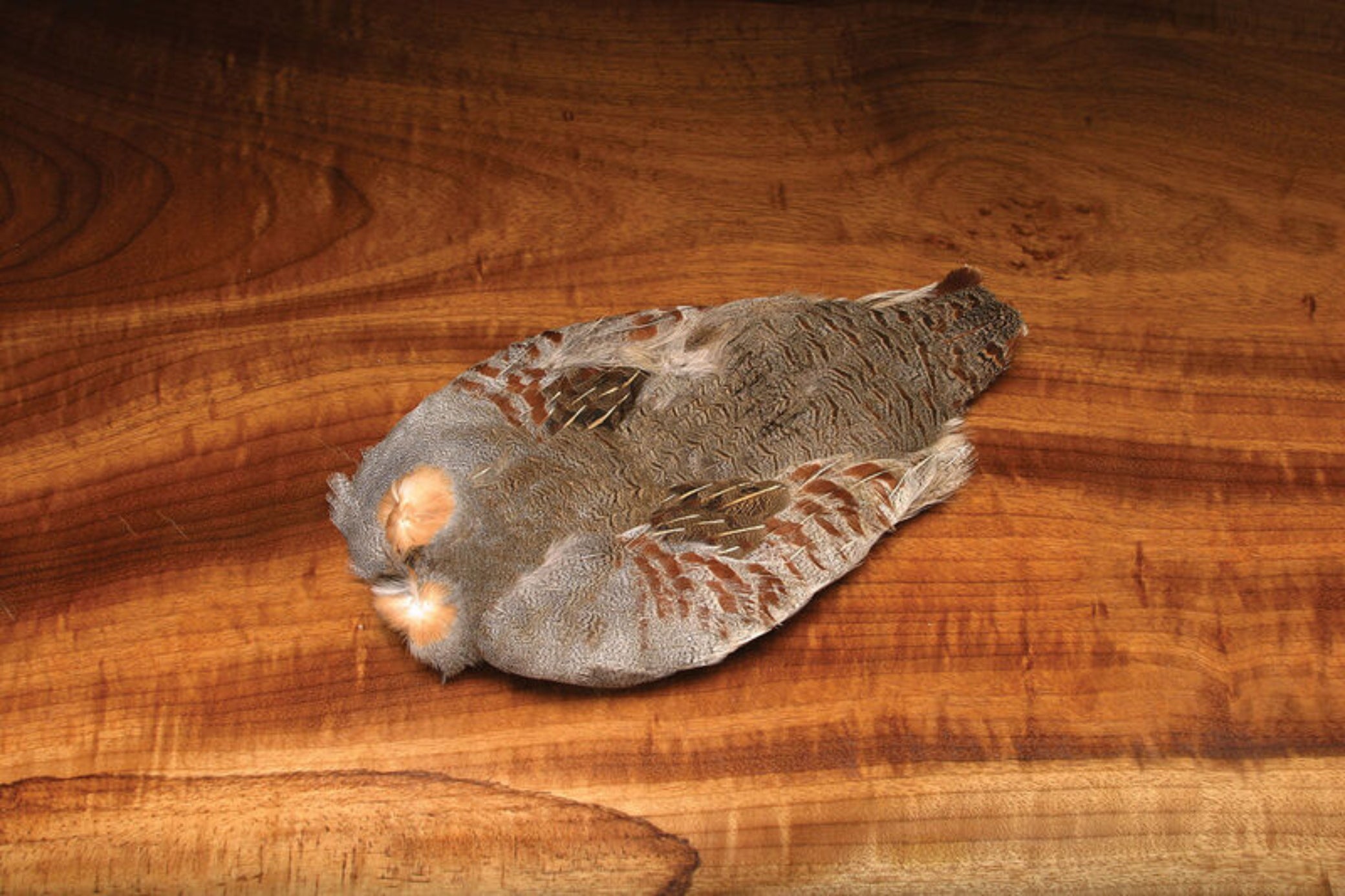 Hareline Premium Partridge Skin