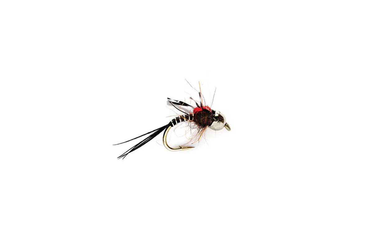 Higa's SOS Nymph