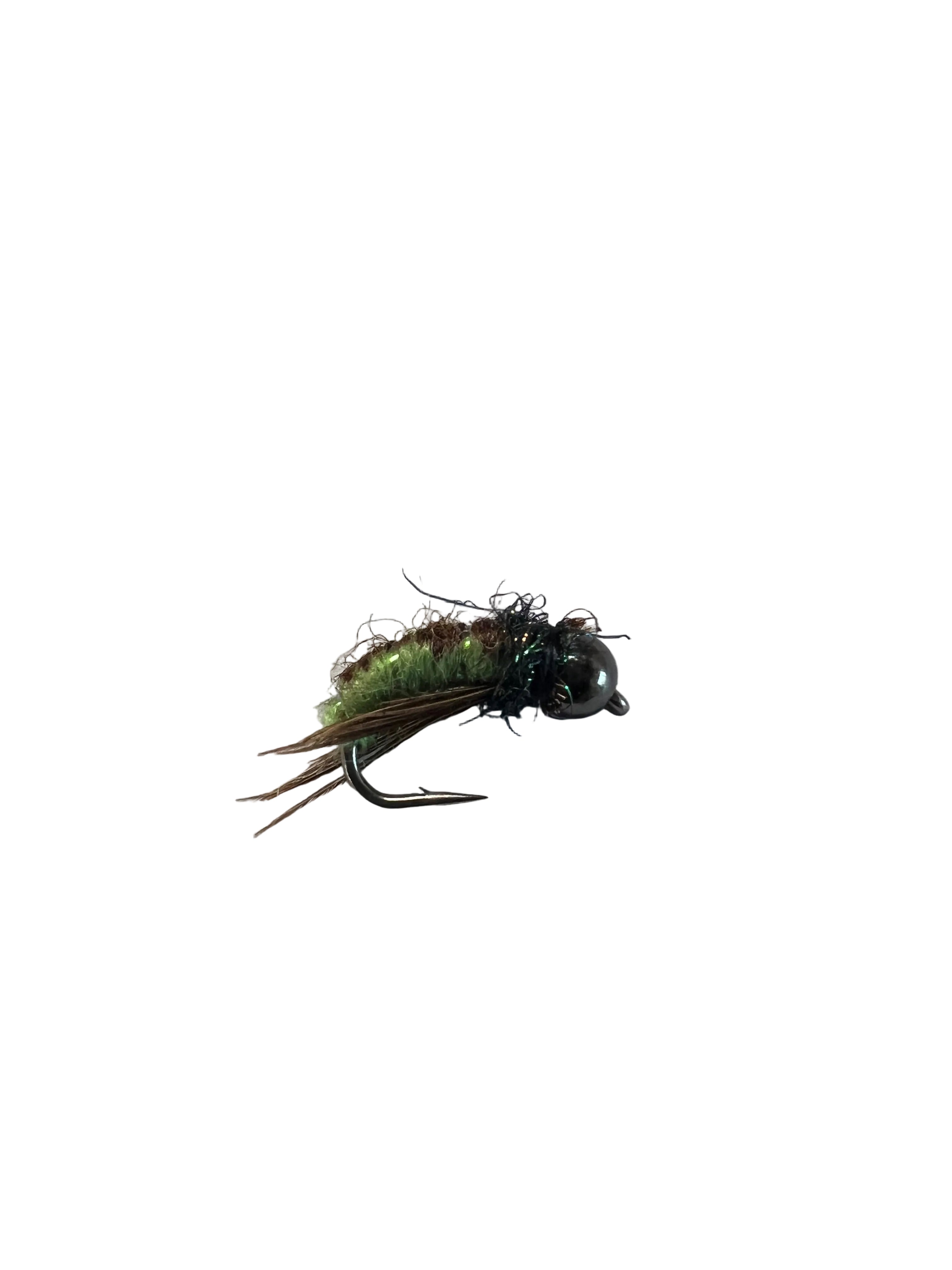BMAR Caddis Pupae