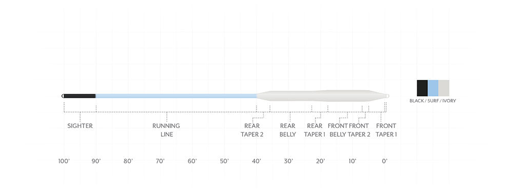 AMPLITUDE SMOOTH BONEFISH
