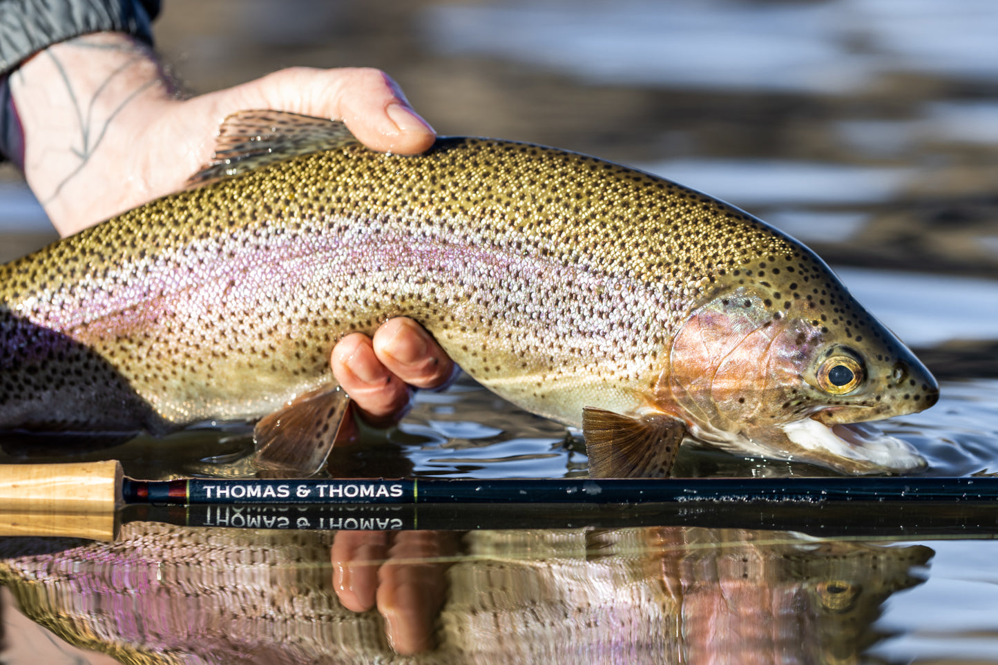 Thomas & Thomas Avantt II Fly Rod