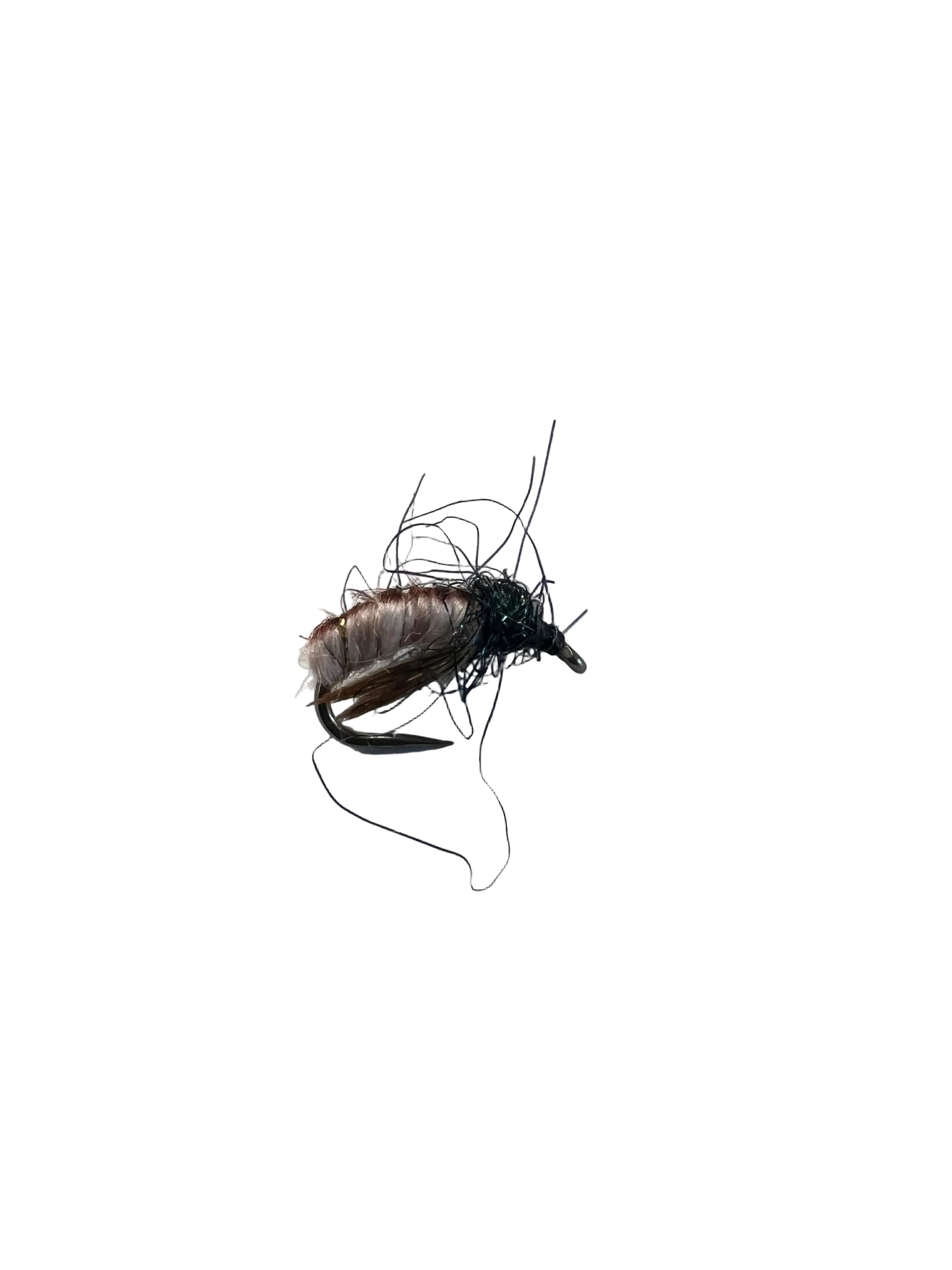 BMAR Caddis Pupae