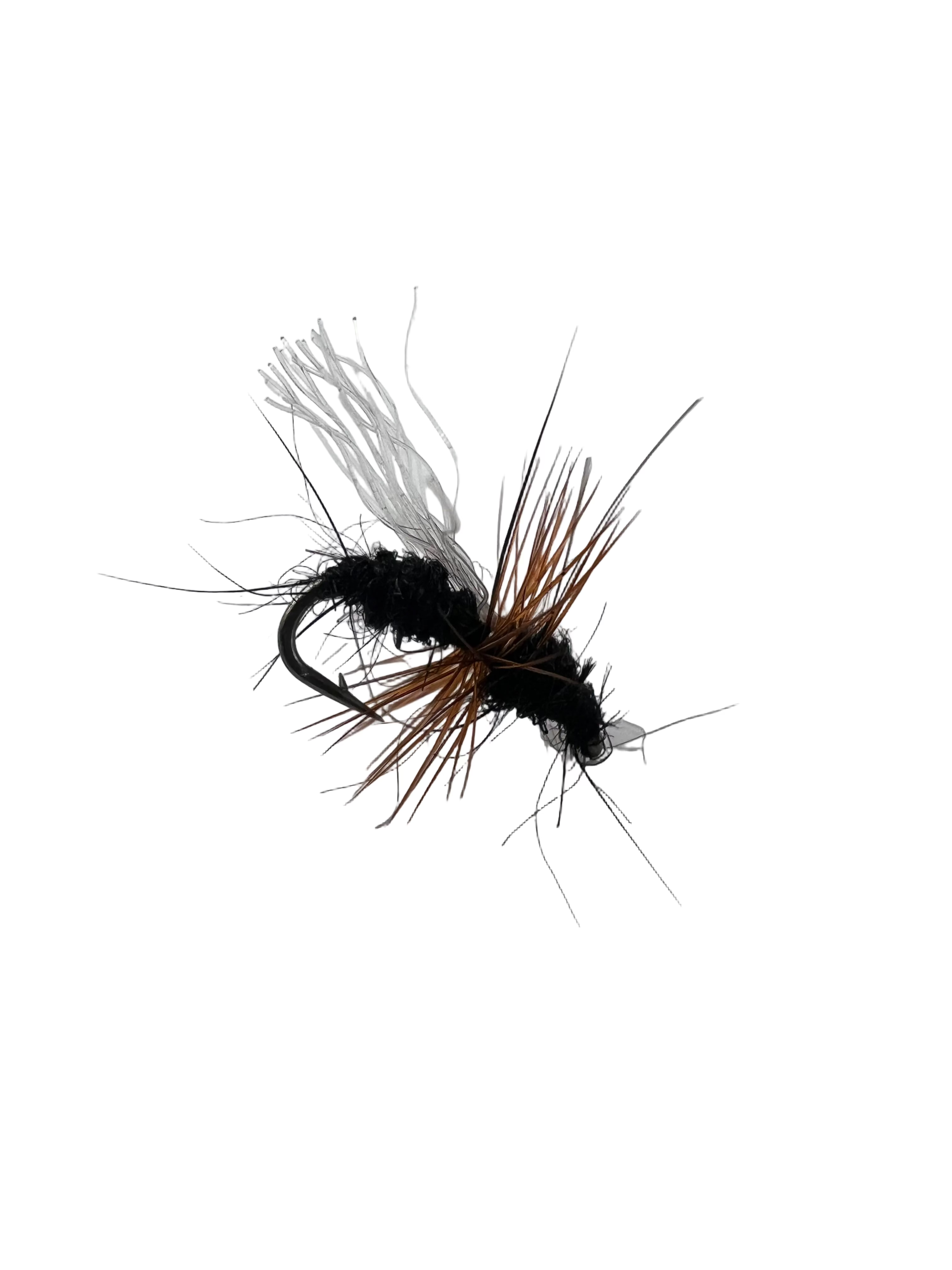 BMAR Flying Ants
