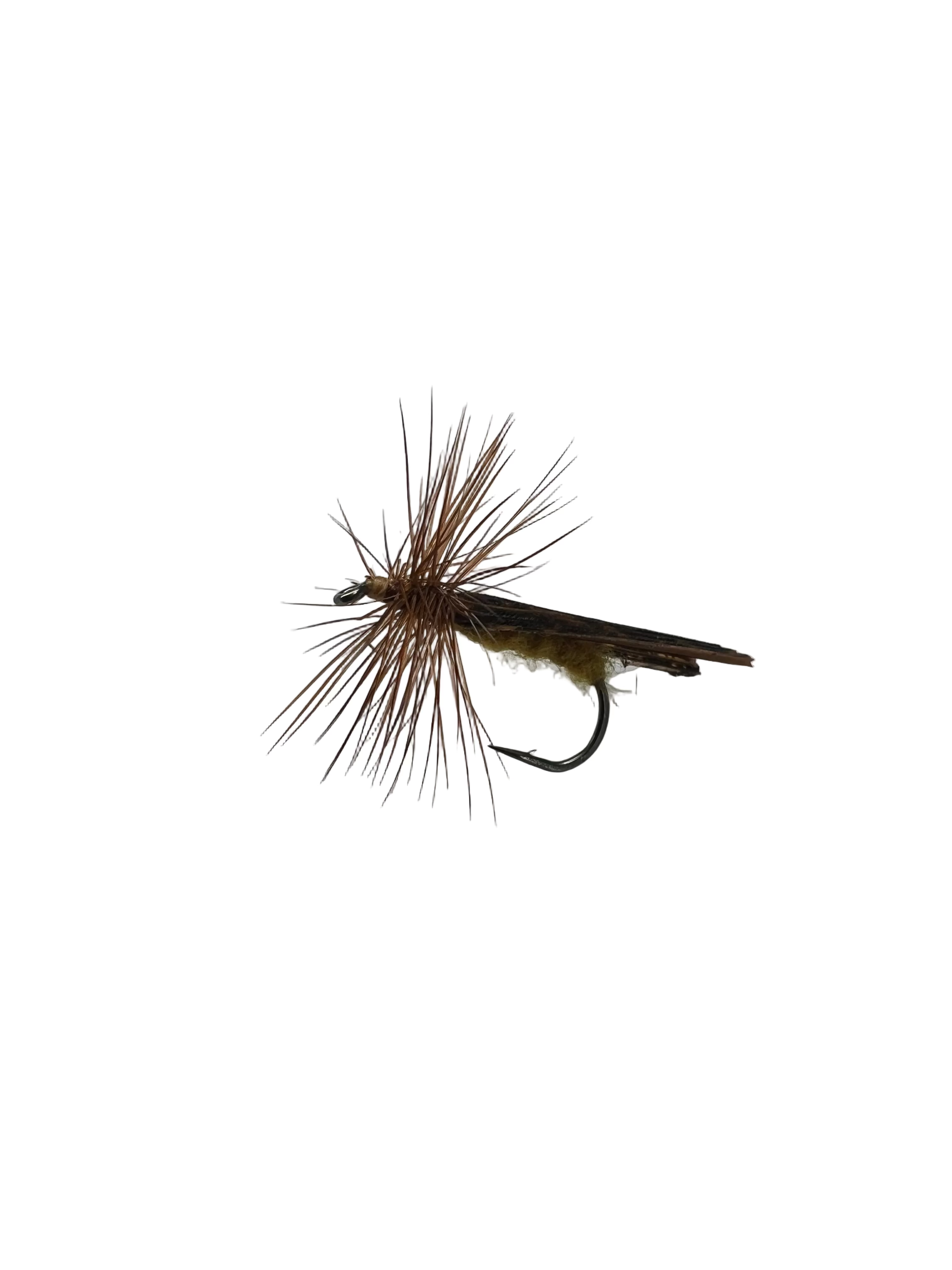BMAR October Caddis Adult