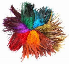 Wapsi Strung Long Rooster Saddles