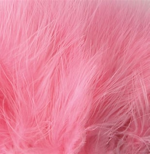 Strung Marabou