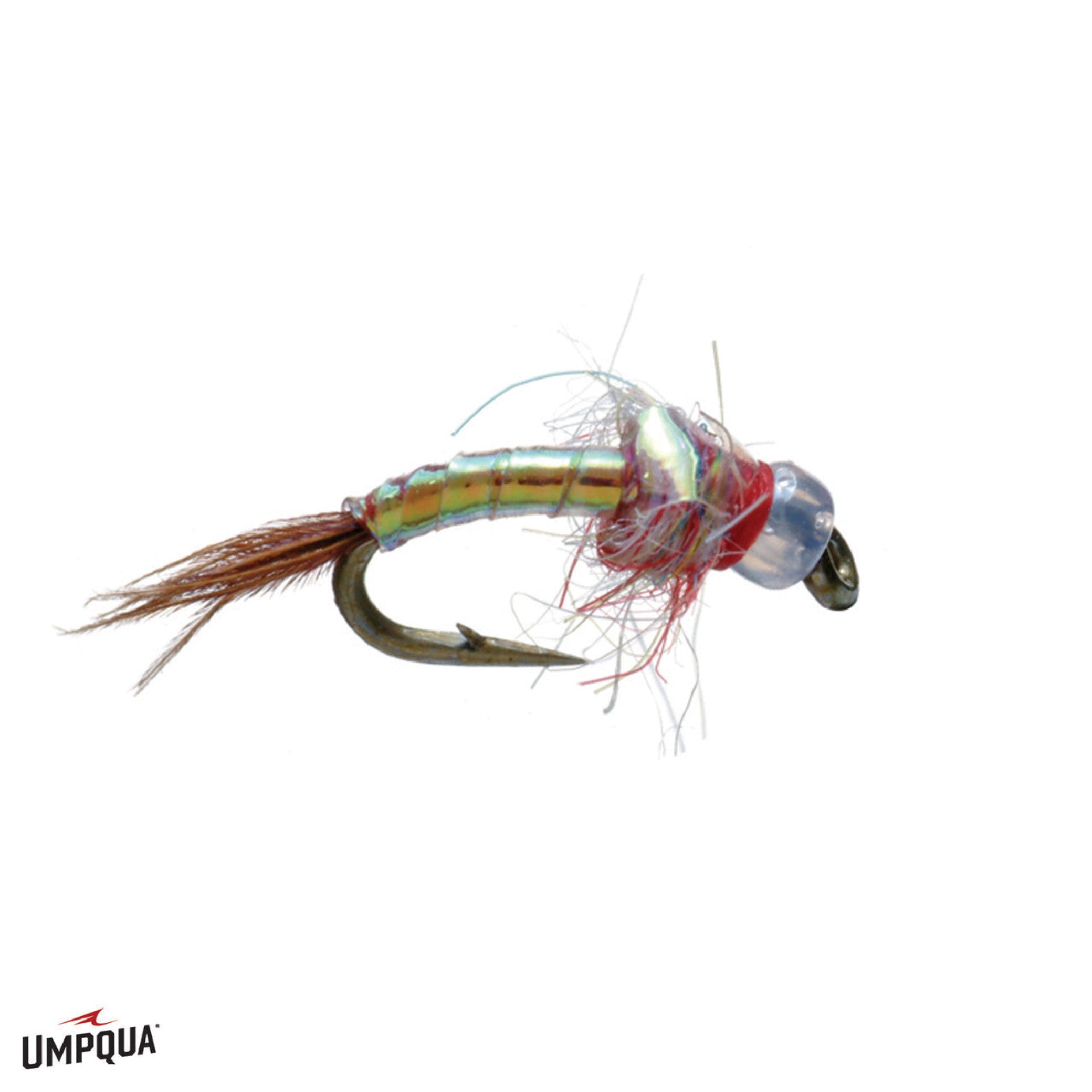 Egan's Rainbow Warrior