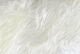 Strung Marabou