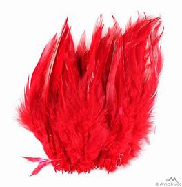 Hareline Strung Chinese Saddle Hackle