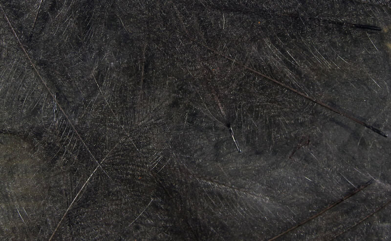 Spirit River UV2 Select CDC