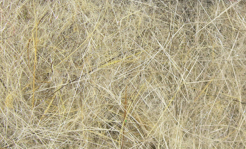 Harelare's Ear Plus Dubbing