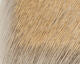 Hareline Coastal Deer Hair