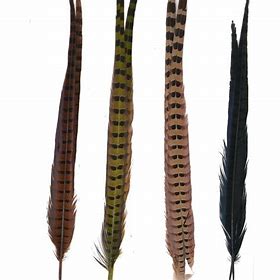 Hareline Ringneck Pheasant Tail