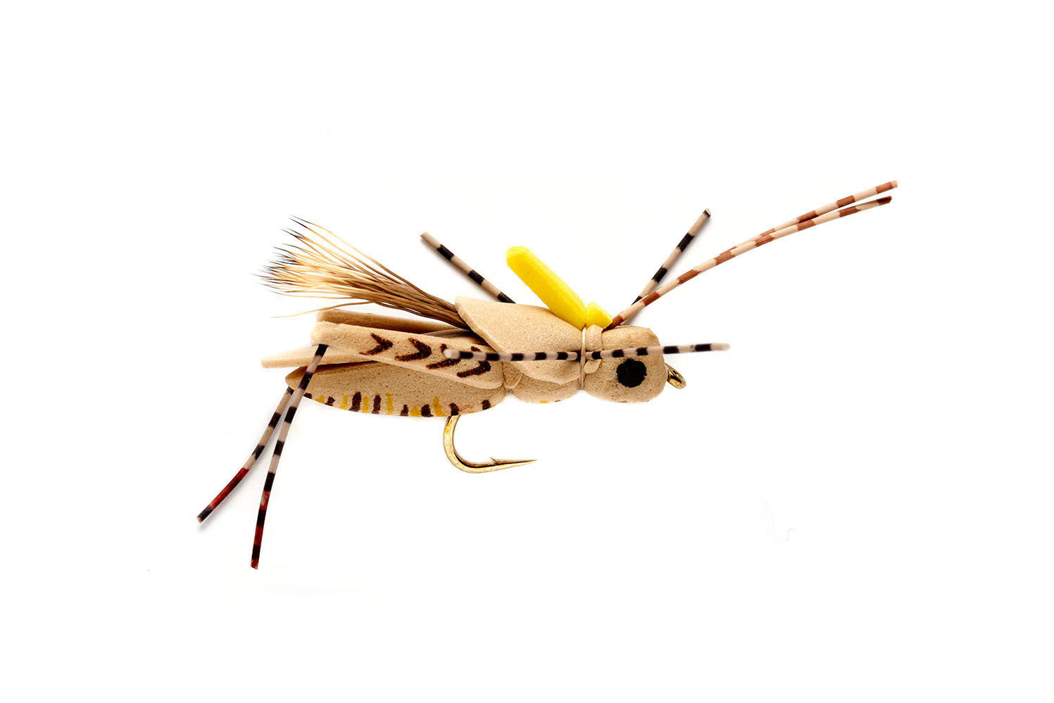 Project Hopper Fly Size 6