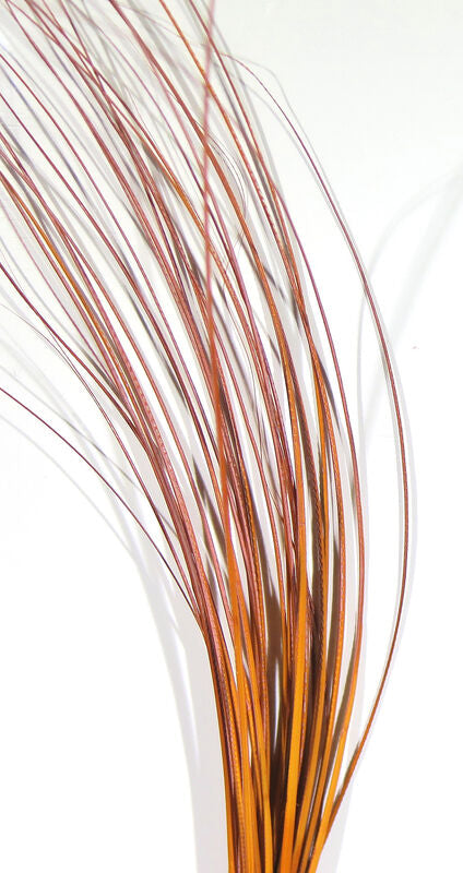 Quill Bodies