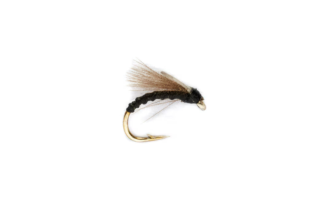 Boroff's Wader Midge