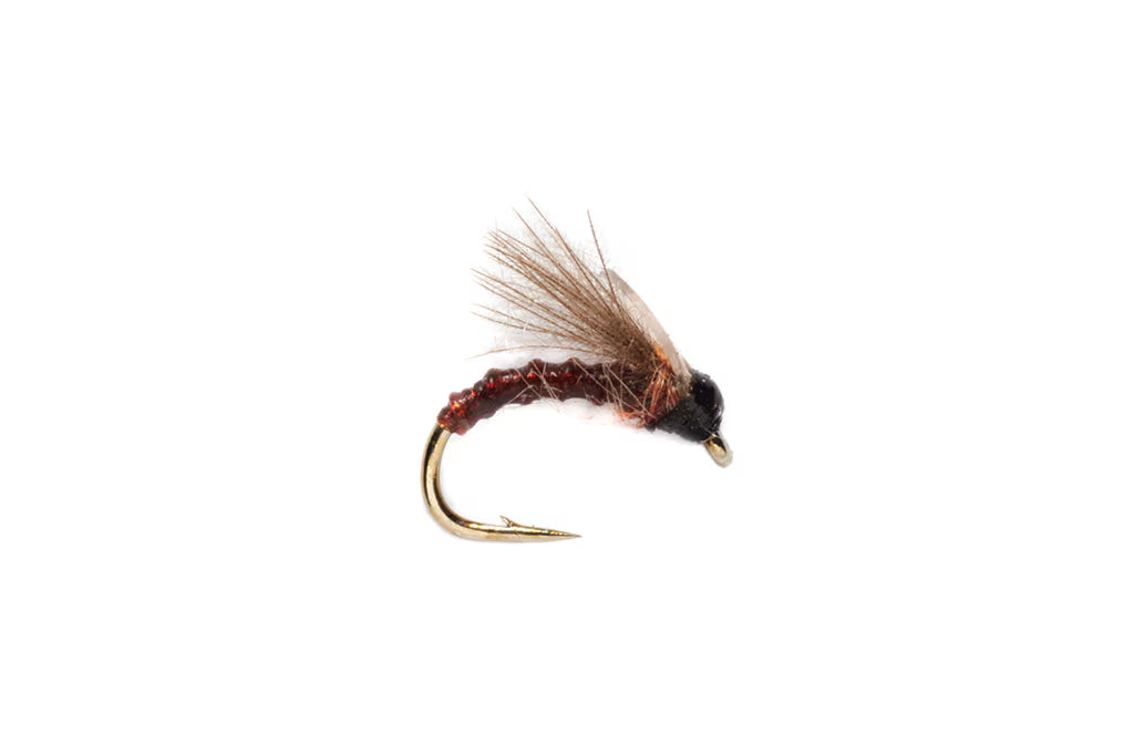 Boroff's Wader Midge