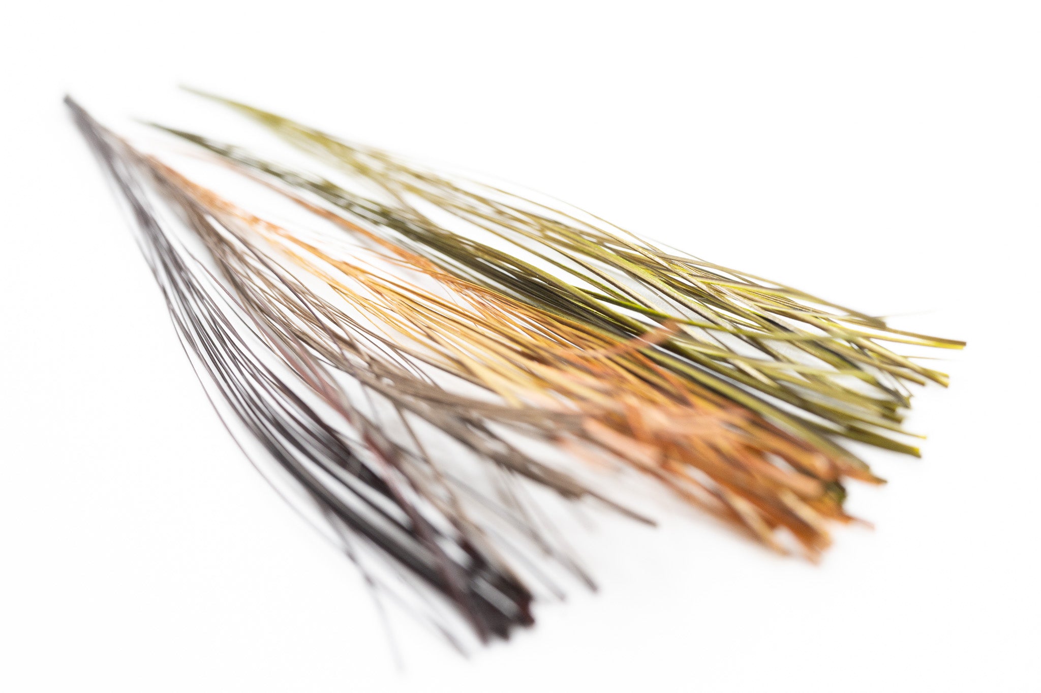 Fulling Mill Stripped Quills