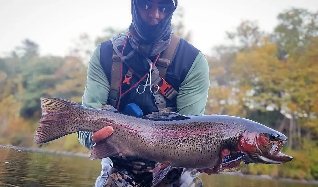 CT Freshwater Report as of 10/18/2025