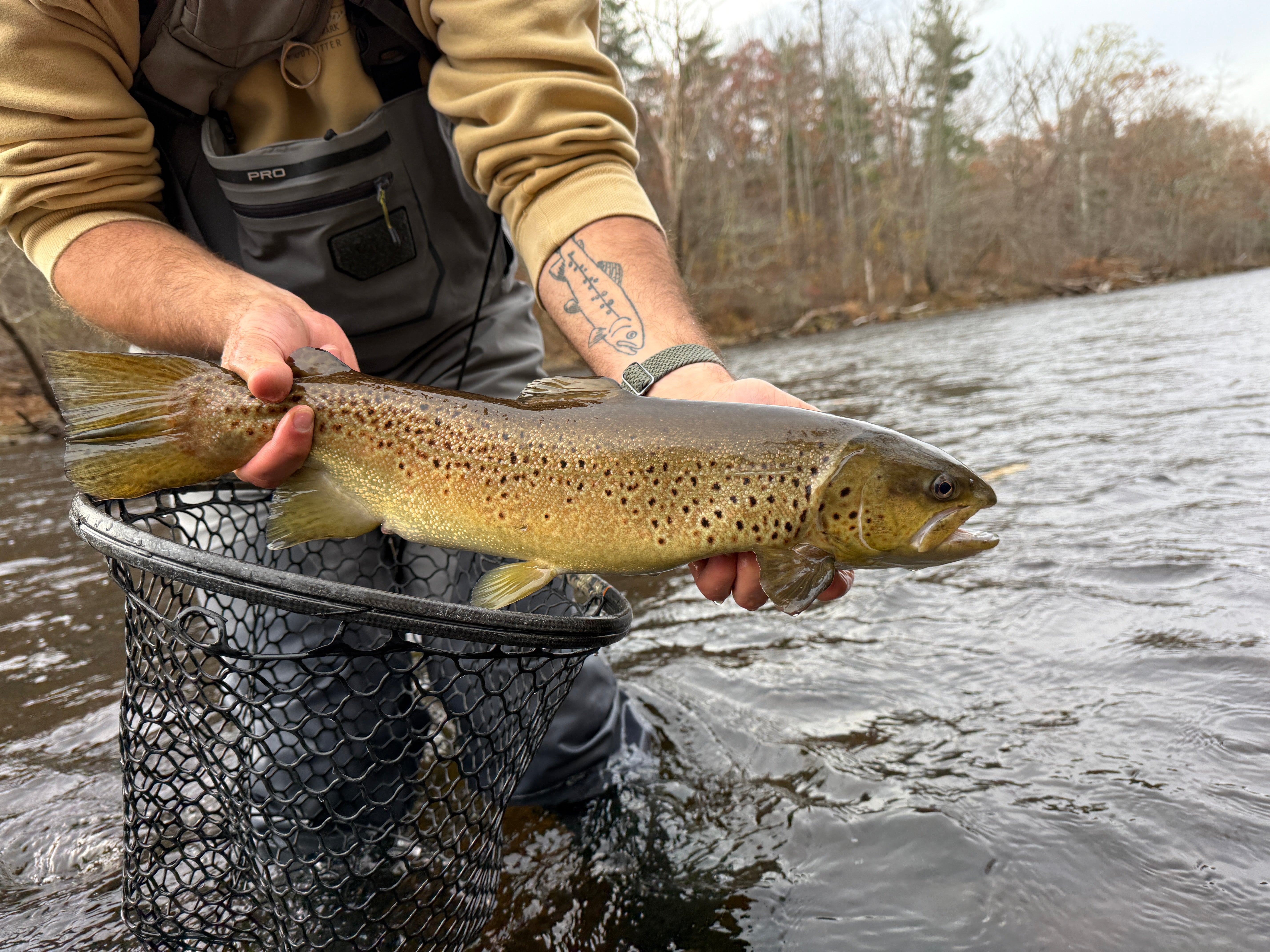 CT Freshwater Report as of 11/8/2025