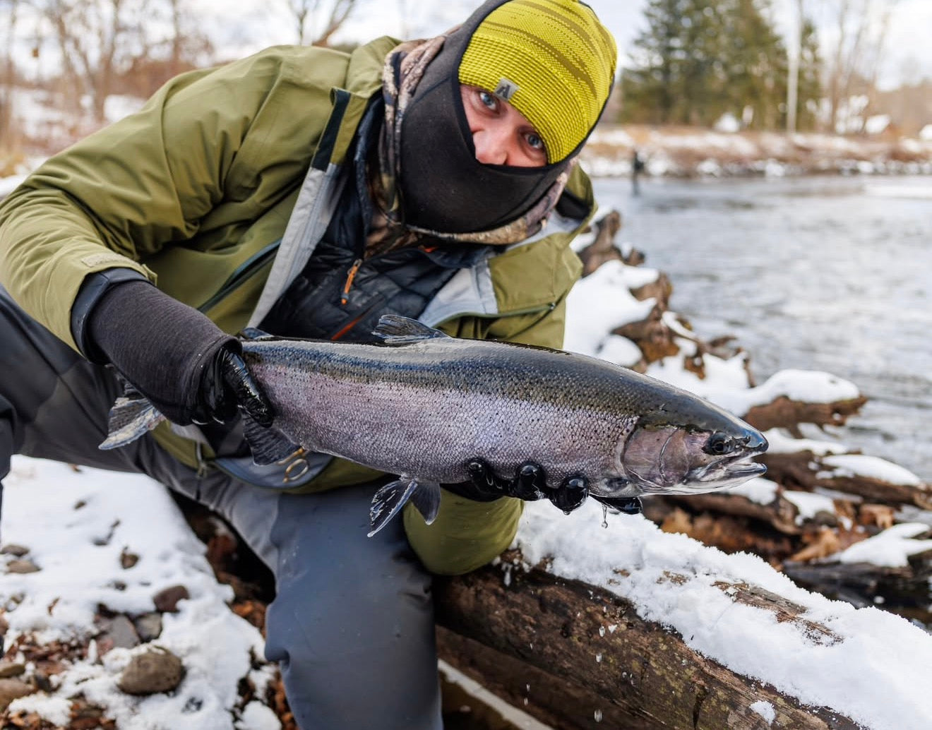 NY Salmon/Steelhead Report as of 12/20/2025
