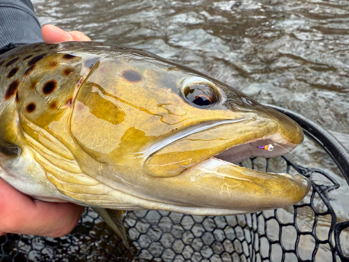 CT Freshwater Report as of 1/10/2026