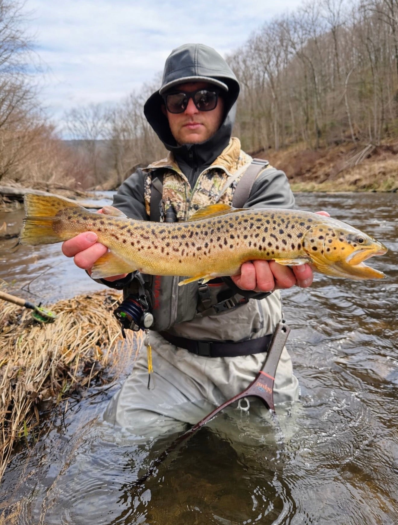 CT Freshwater Report as of 3/24/2026