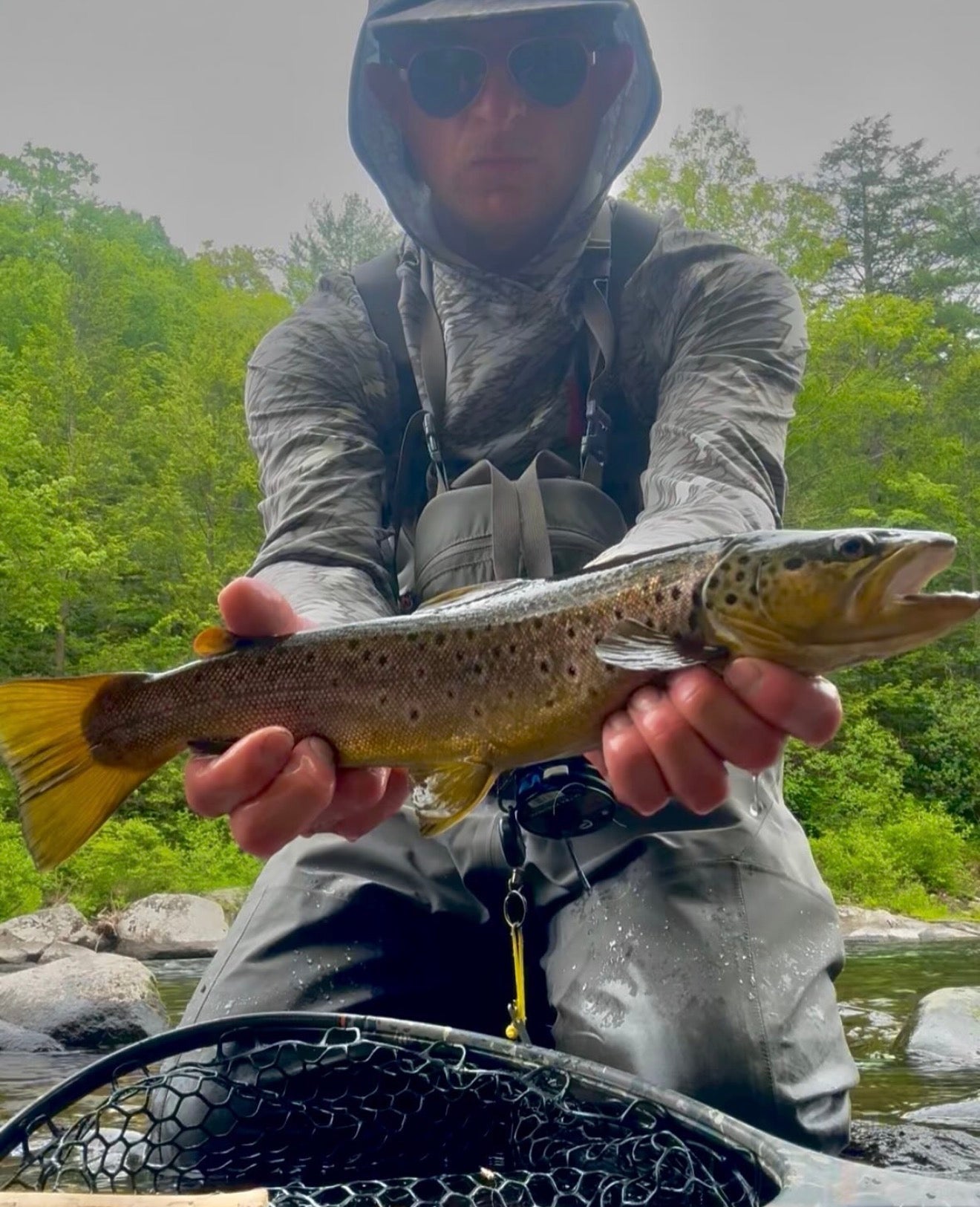CT Freshwater Report as of 6/1/2026
