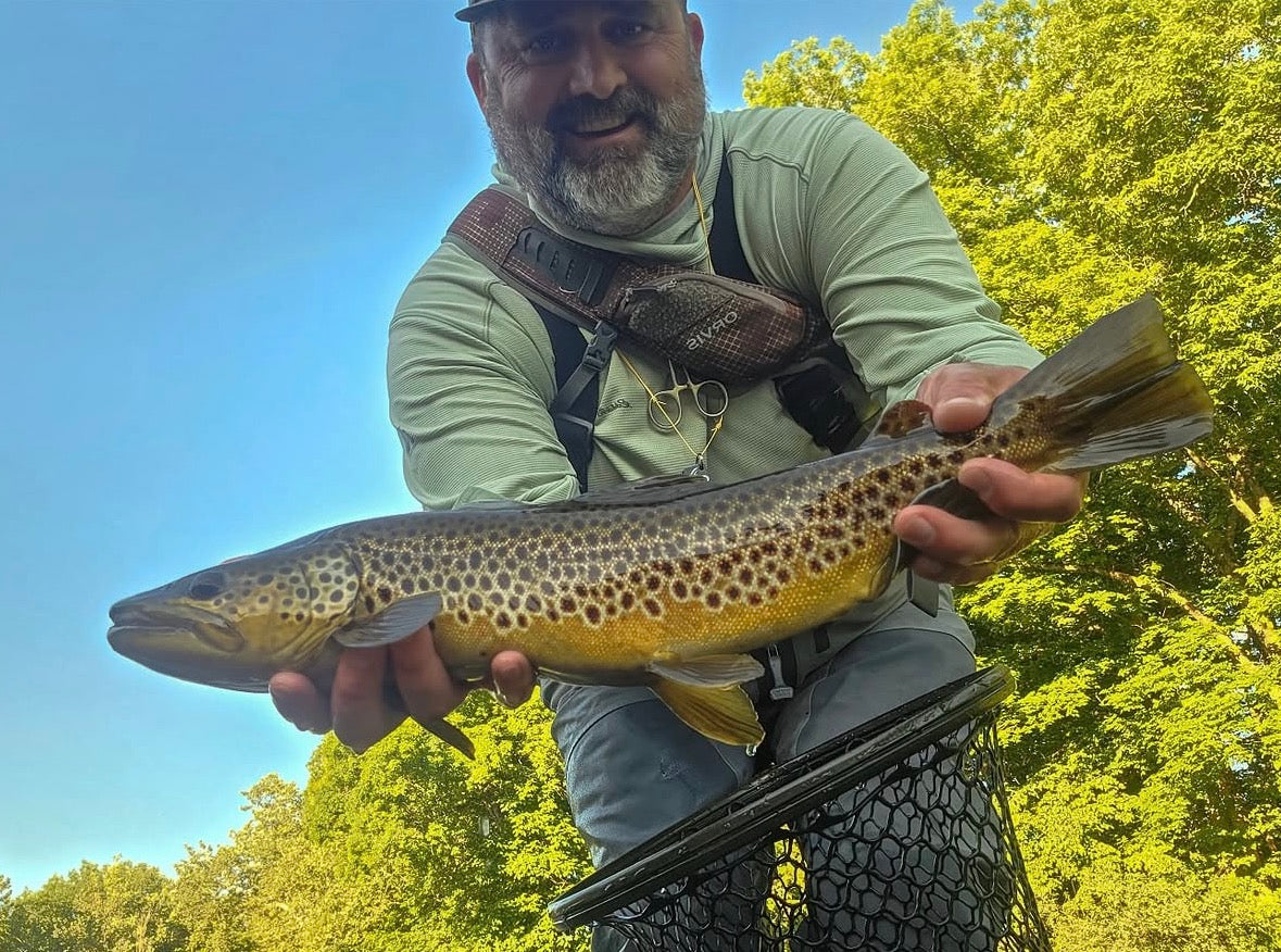 CT Freshwater Report as of 6/15/2026