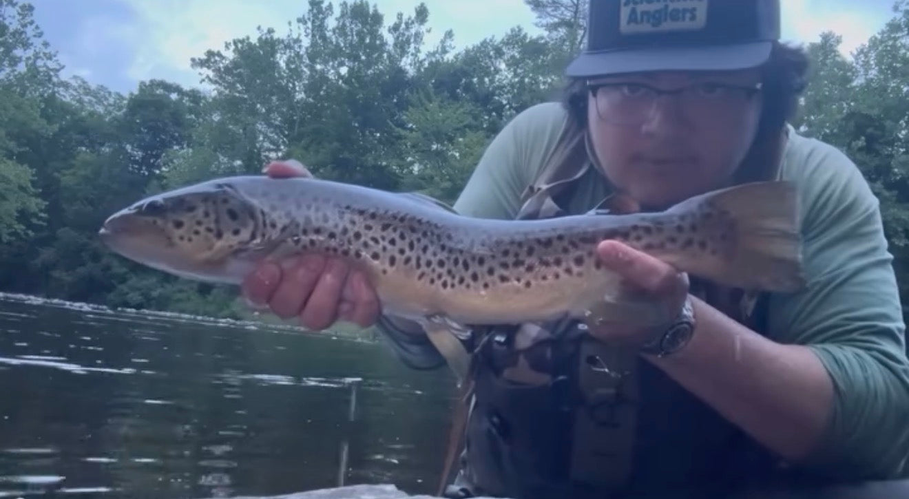 CT Freshwater Report as of 6/26/2026