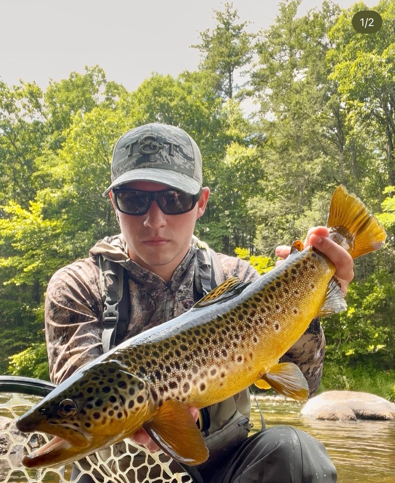 CT Freshwater Report as of 7/24/2026