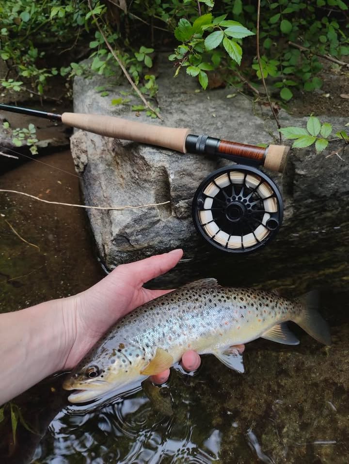 CT Freshwater Report as of 5/22/2025